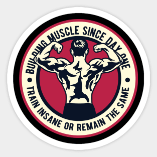 Building Muscle - Train Insane or Remain The Same Sticker